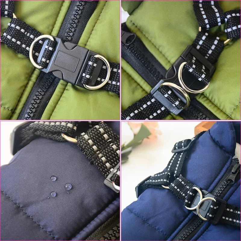 Veste imperméable pour chien - Les Bonnes Affaires
