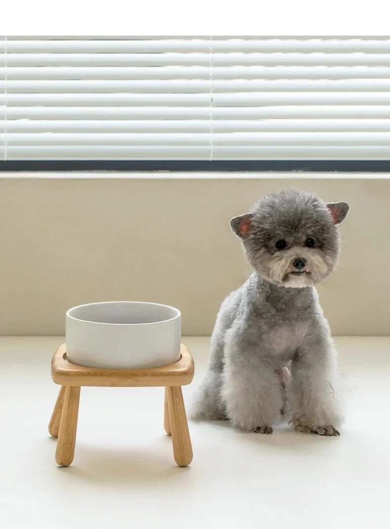 Gamelle En Céramique Avec Support Bois Pour Chien