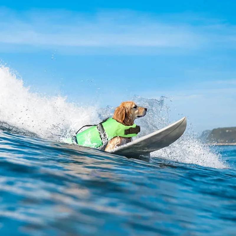 Gilet De Sauvetage Avec Bandes Réfléchissantes Pour Chien