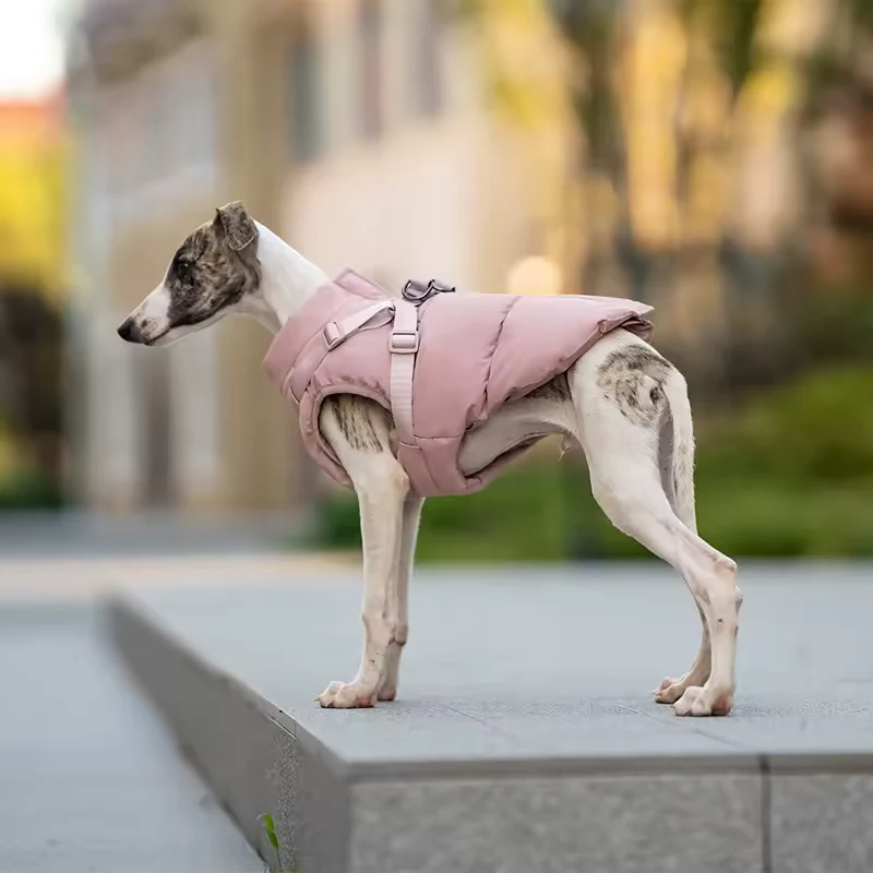 Imperméable Avec Harnais Intégré Pour Chien