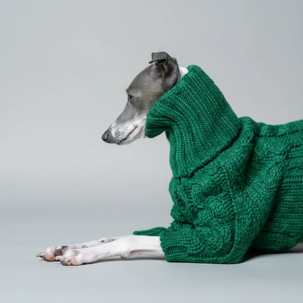 Pull Tricot Torsadé Col Roulé Pour Lévrier Et Whippet