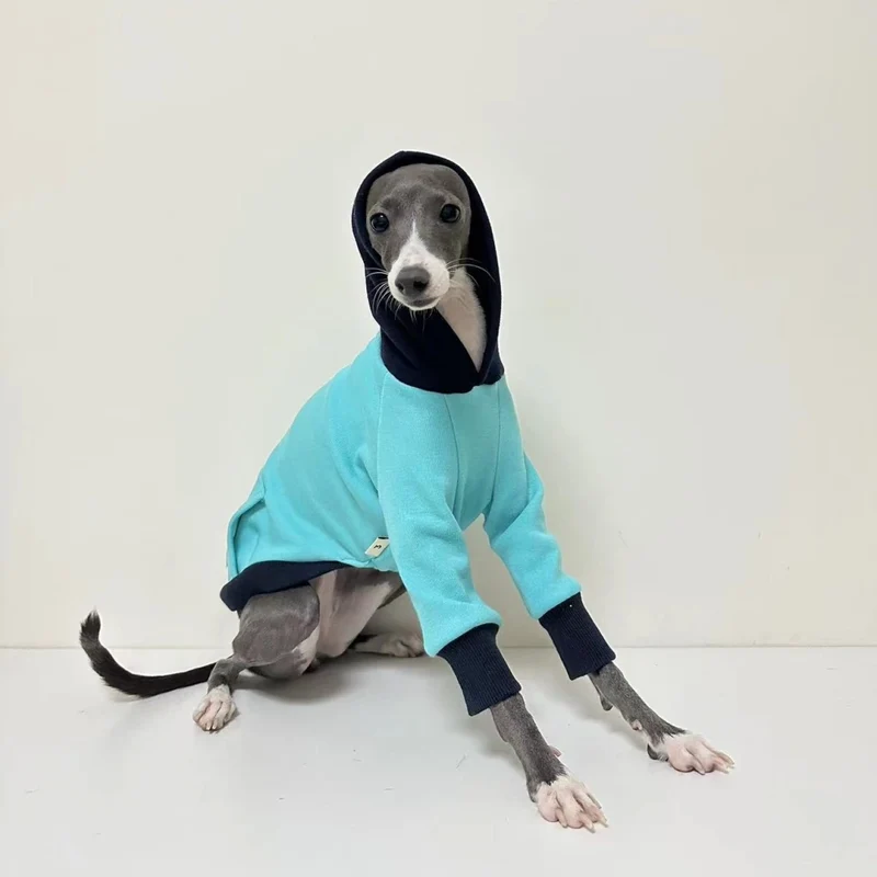 Sweat Bleu Avec Capuche Pour Lévrier