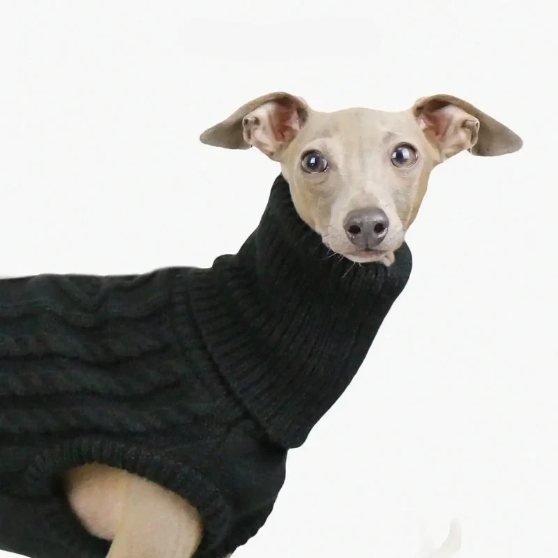 Pull Col Haut En Laine Douce Pour Whippet Et Lévrier