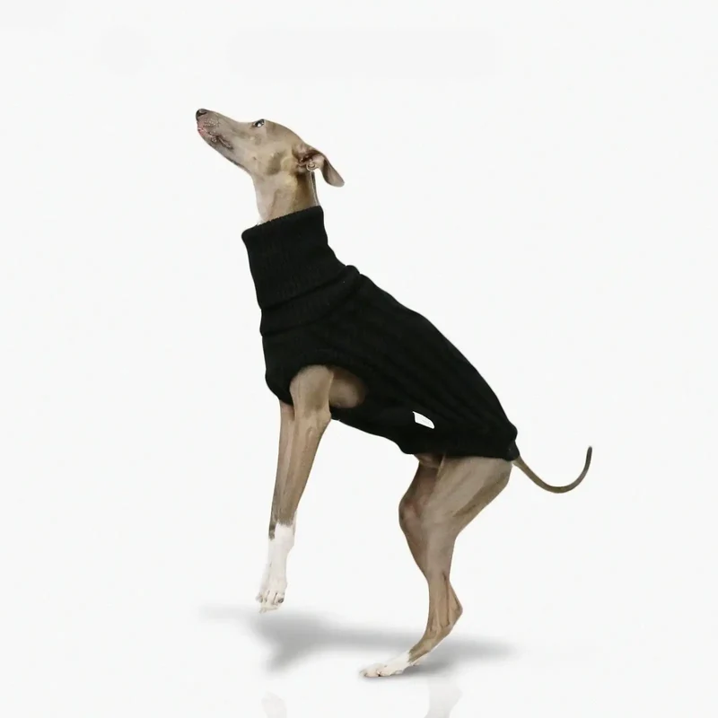 Pull Col Haut En Laine Douce Pour Whippet Et Lévrier