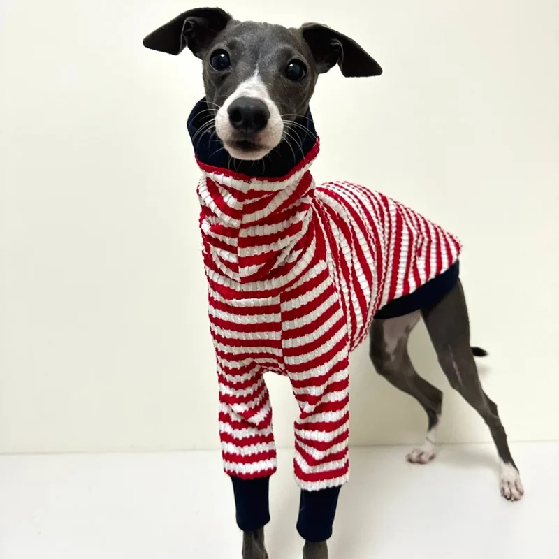 T-Shirt Pour Whippet Et Lévrier Avec Col Haut