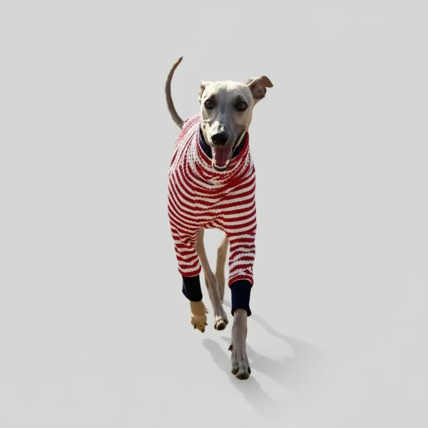 T-Shirt Pour Whippet Et Lévrier Avec Col Haut