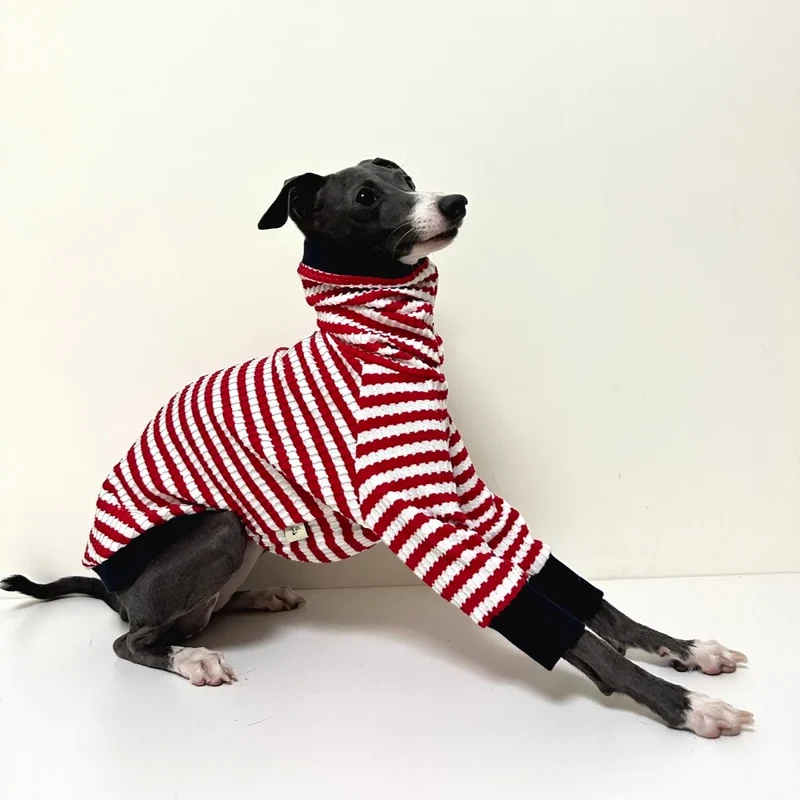 T-Shirt Pour Whippet Et Lévrier Avec Col Haut