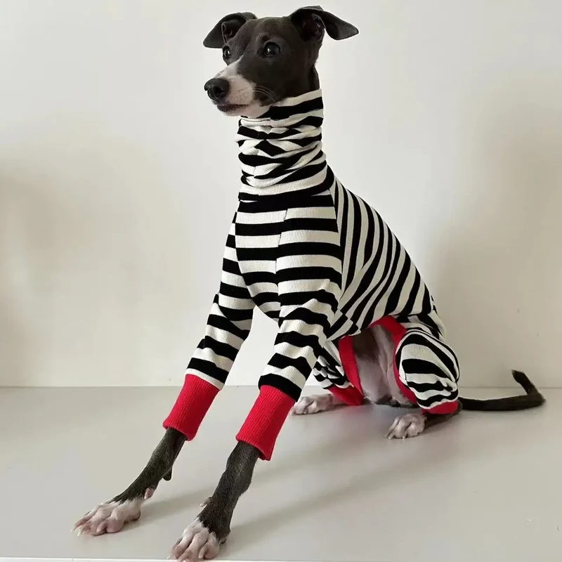 Pull rayé pour chien Oscar et Plume : chaleur douillette et allure chic