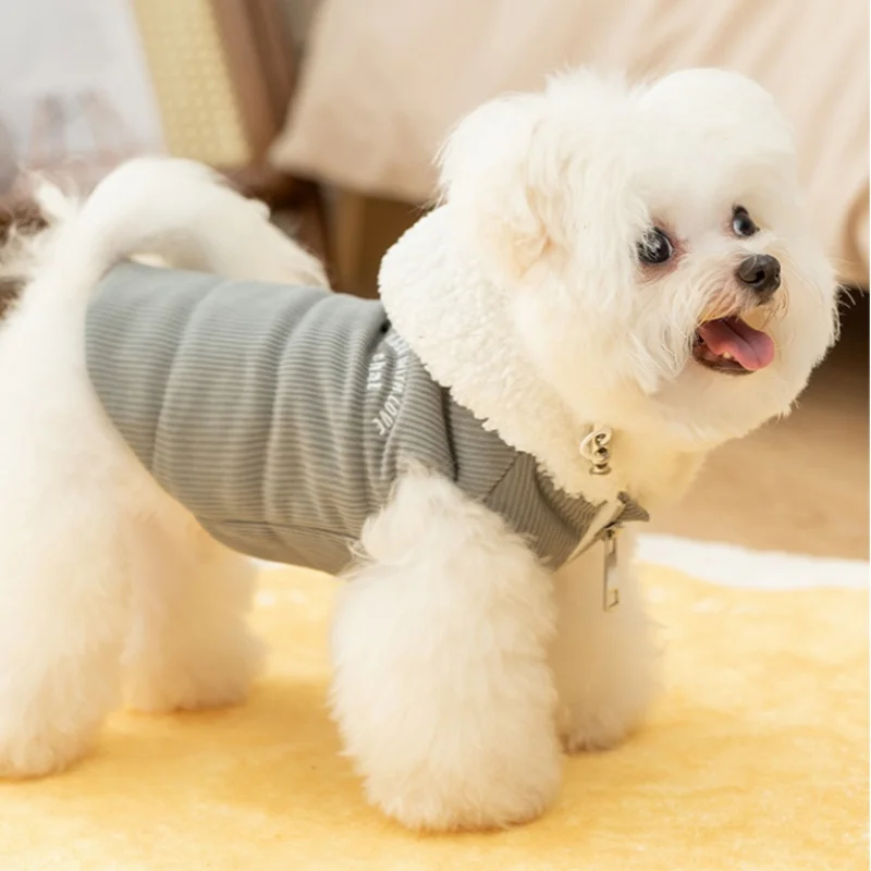 Manteau En Velours Côtelé Pour Petit Chien