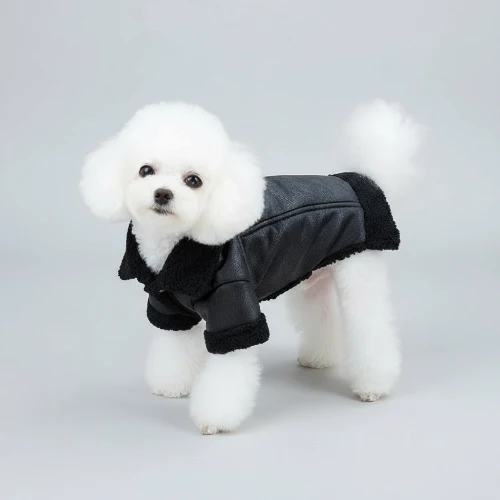 Manteau Pour Petit Chien En Simili Cuir Et Fausse Fourrure