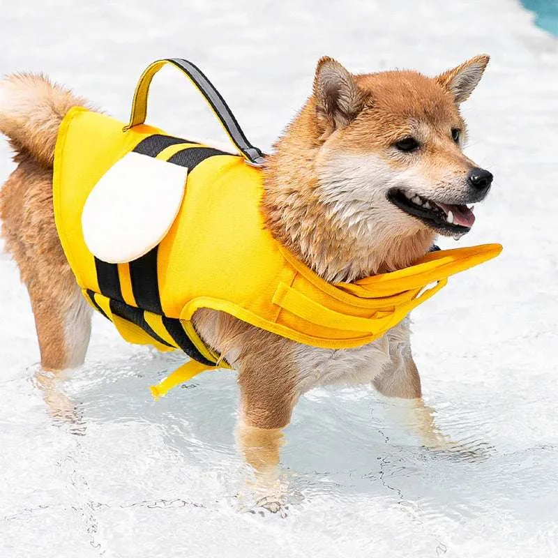 Gilet pour chien haute visibilité et sécurité