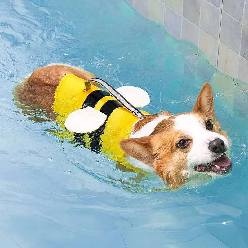Gilet pour chien haute visibilité et sécurité
