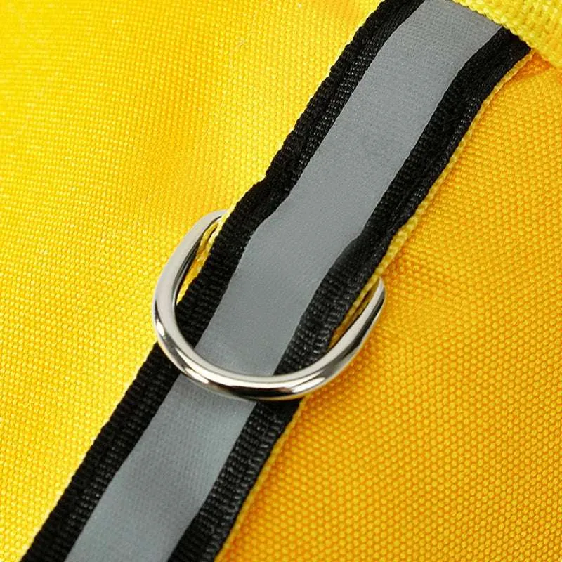 Gilet pour chien haute visibilité et sécurité