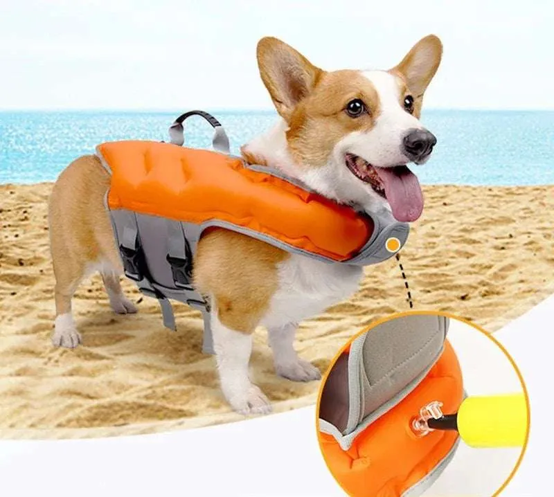 Gilet de Sauvetage gonflable pour chien