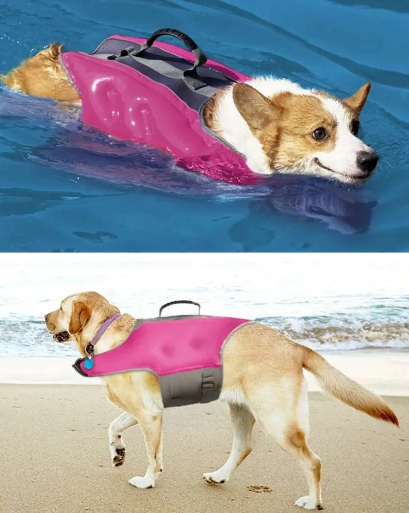 Gilet de Sauvetage gonflable pour chien
