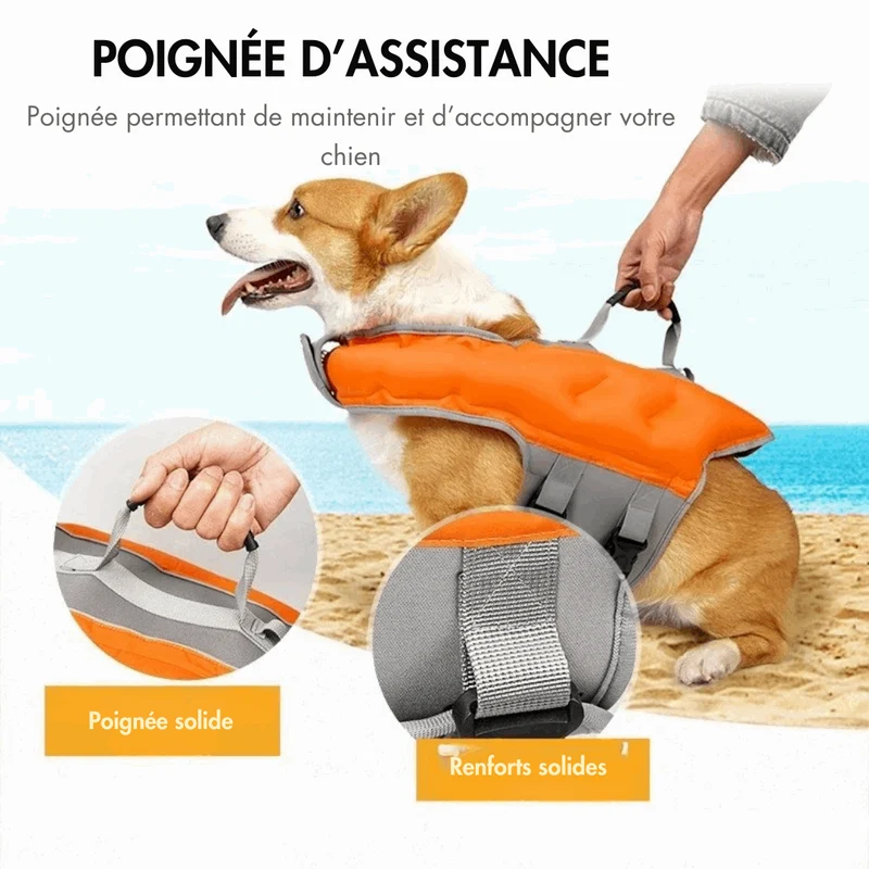 Gilet de Sauvetage gonflable pour chien