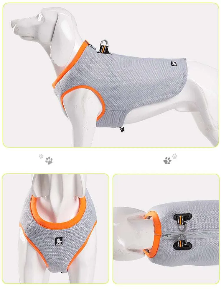 Veste Rafraîchissante Légère Pour Chien