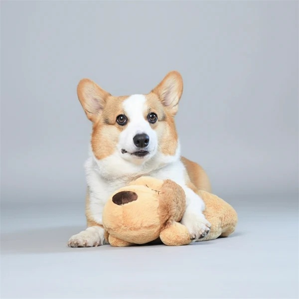 Jouet Peluche Apaisante Pour Chien