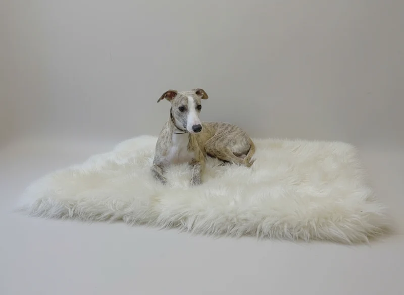 Tapis Luxe En Peau De Mouton Pour Chien