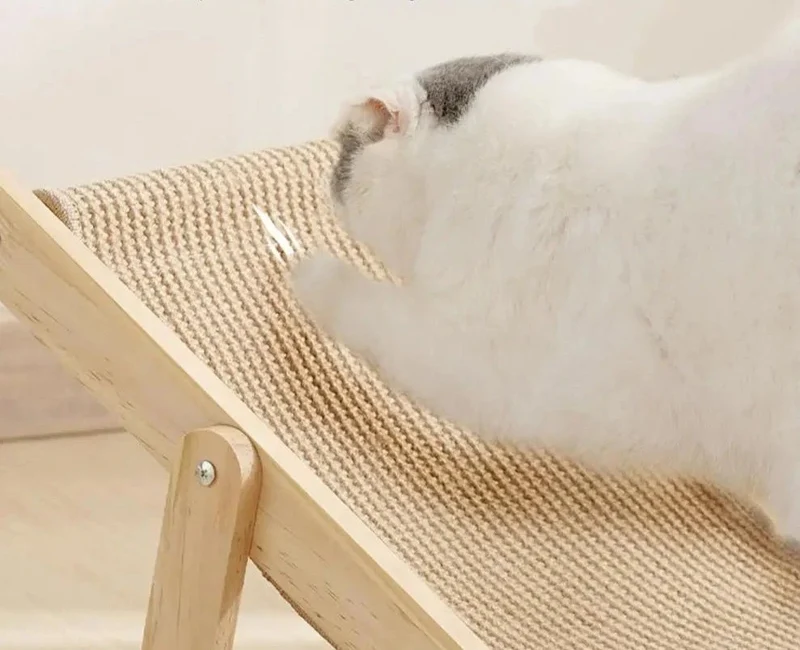 Chaise Longue pour Chat Design