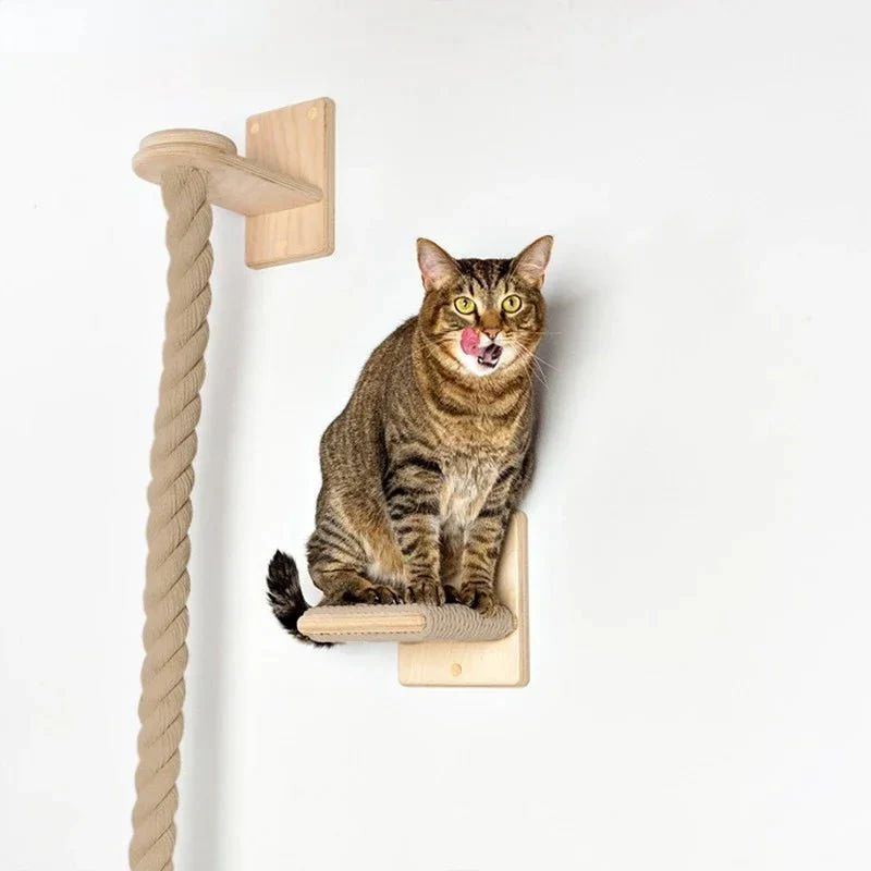 Accessoire Escalade Pour Chat Design Et Robuste