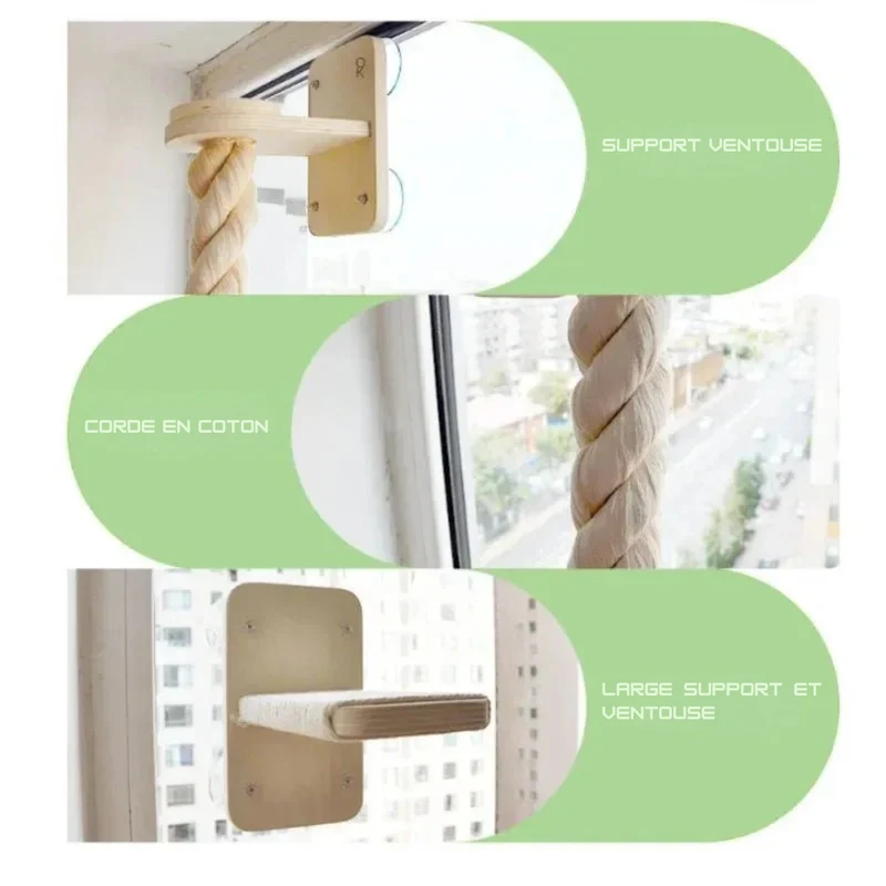 Accessoire Escalade Pour Chat Design Et Robuste