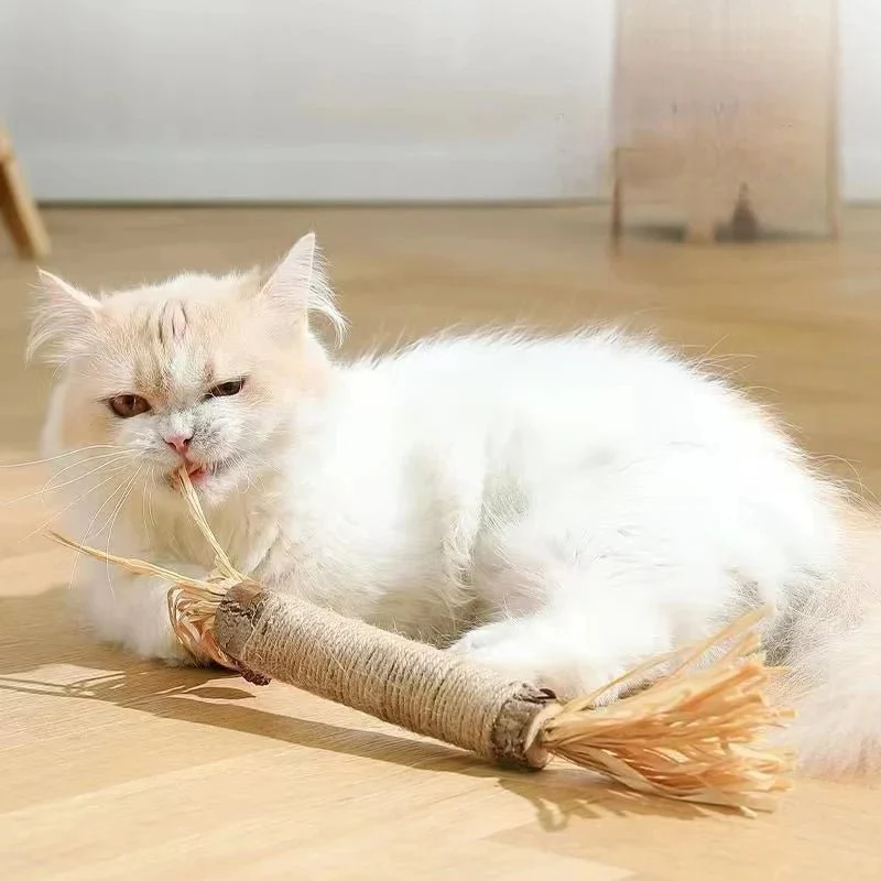 Jouet Naturel Pour Chat En Fibres Naturelles