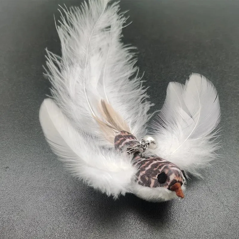 Plume Oiseau Pour Chat Jouet Naturel