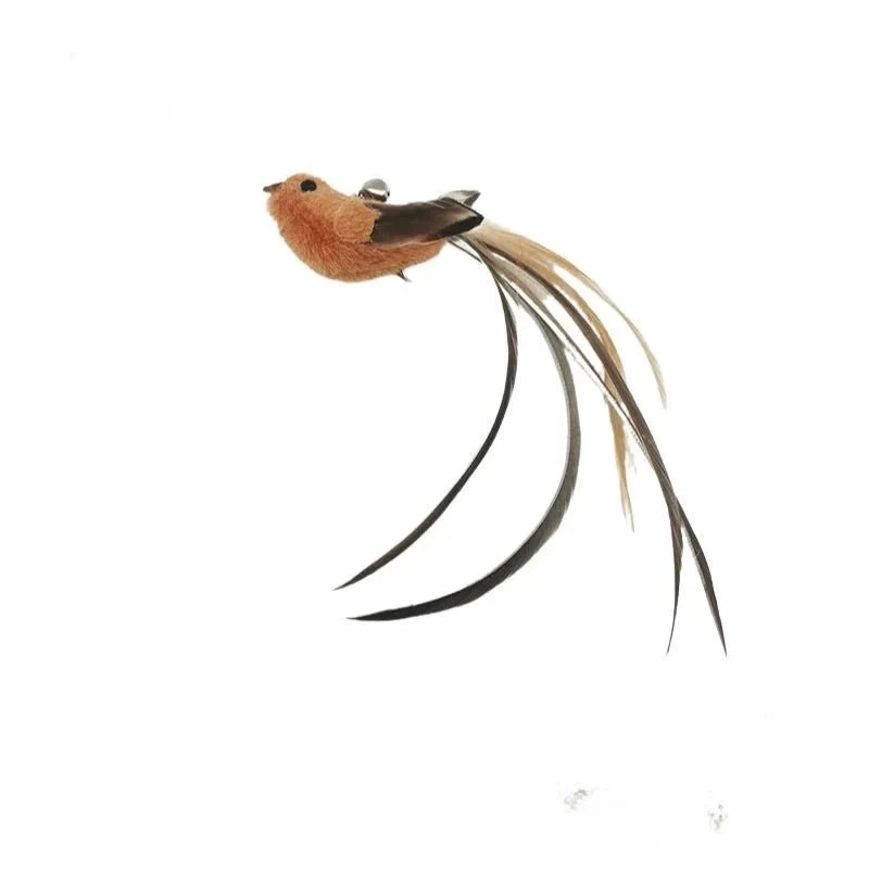 Plume Oiseau Pour Chat Jouet Naturel