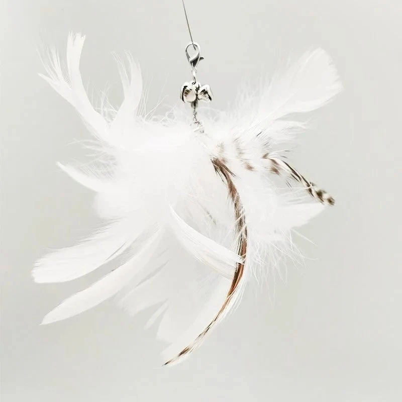 Plume Oiseau Pour Chat Jouet Naturel