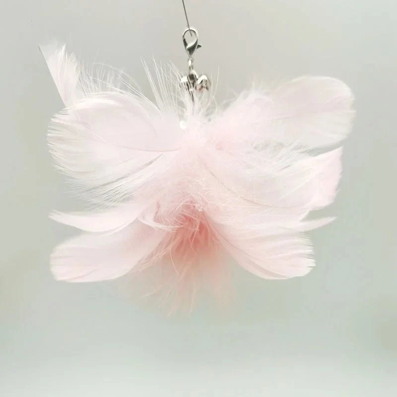 Plume Oiseau Pour Chat Jouet Naturel