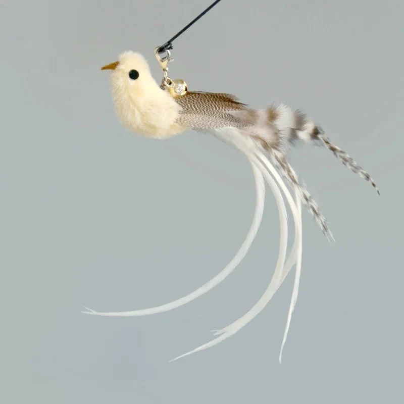 Plume Oiseau Pour Chat Jouet Naturel