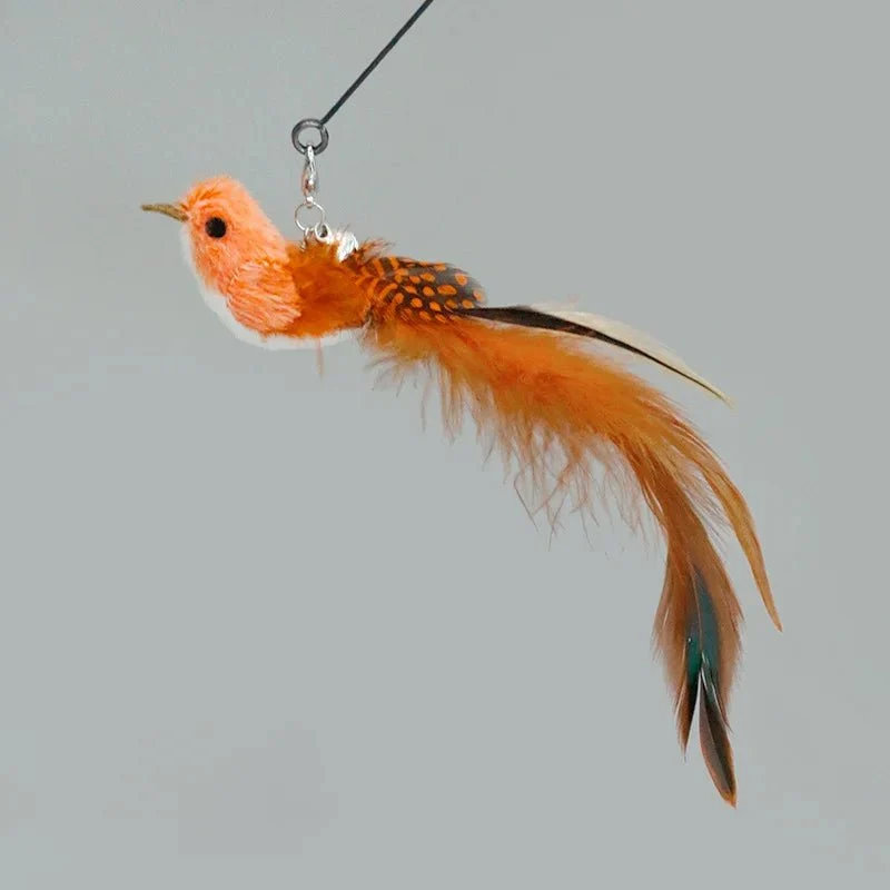 Plume Oiseau Pour Chat Jouet Naturel