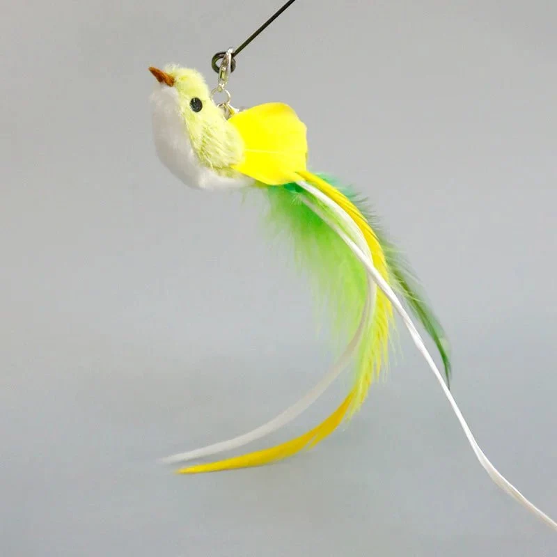 Plume Oiseau Pour Chat Jouet Naturel