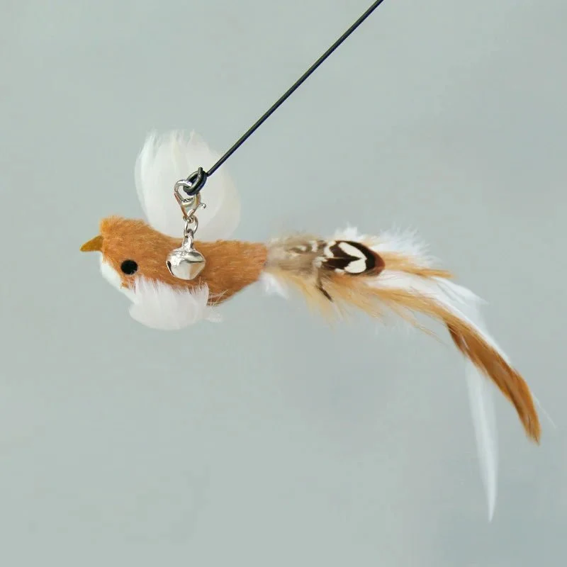 Plume Oiseau Pour Chat Jouet Naturel
