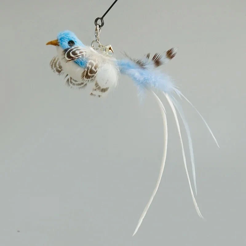 Plume Oiseau Pour Chat Jouet Naturel