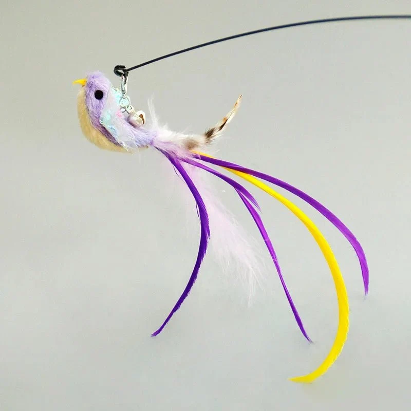 Plume Oiseau Pour Chat Jouet Naturel