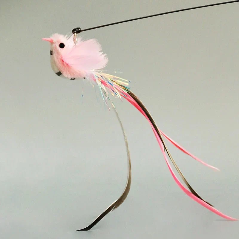Plume Oiseau Pour Chat Jouet Naturel