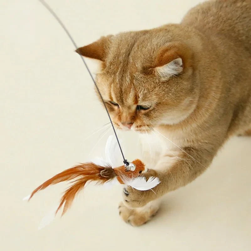 Plume Oiseau Pour Chat Jouet Naturel