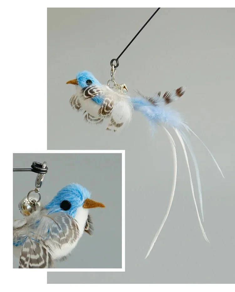 Plume Oiseau Pour Chat Jouet Naturel