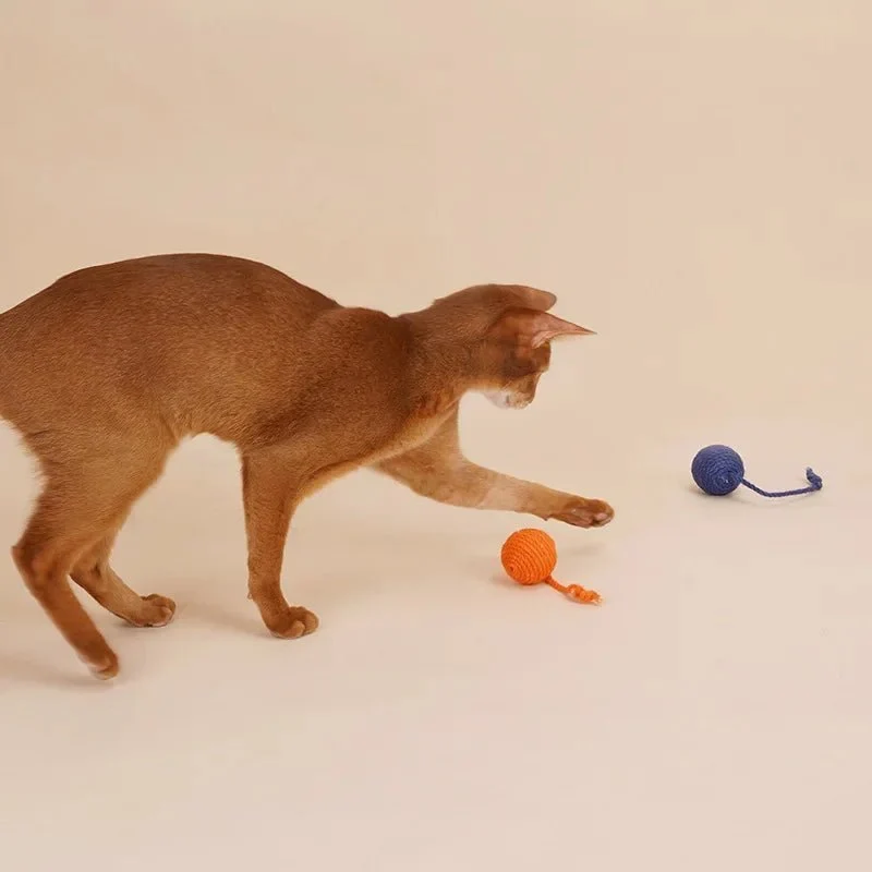 Boule À Gratter À Suspendre Pour Chat