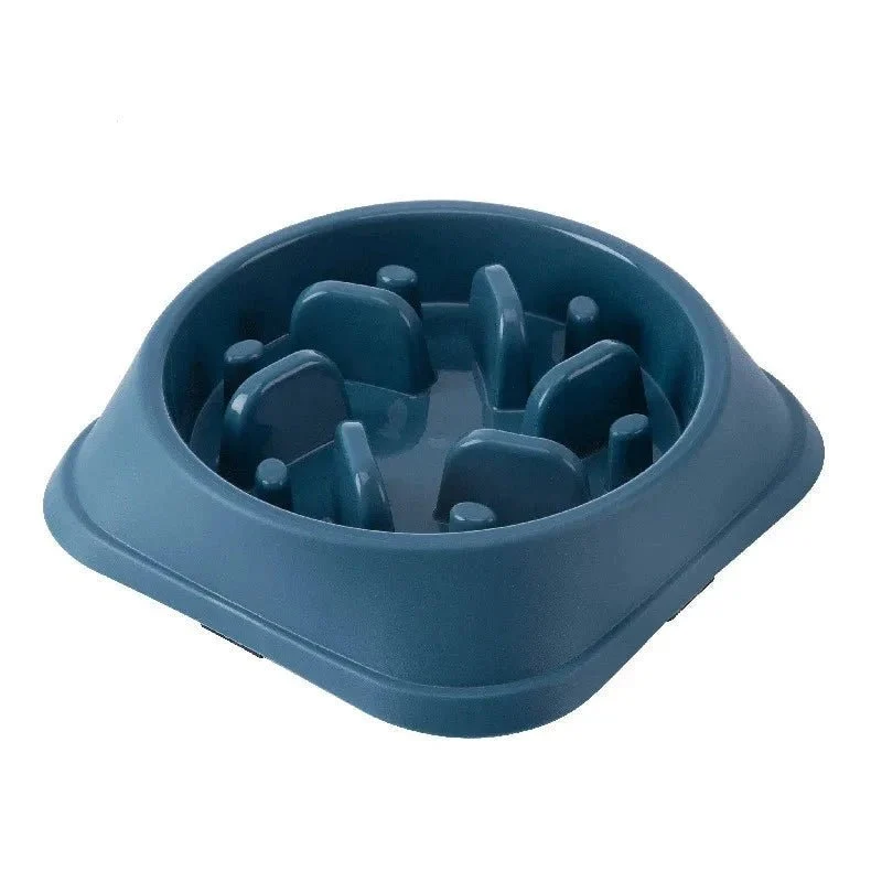 Gamelle Anti Glouton Chien Design Résistant