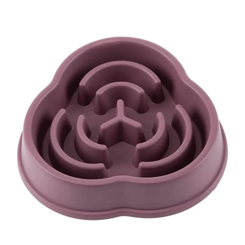 Gamelle Anti Glouton Chien Design Résistant