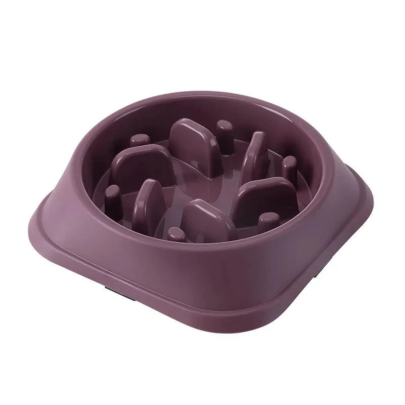 Gamelle Anti Glouton Chien Design Résistant