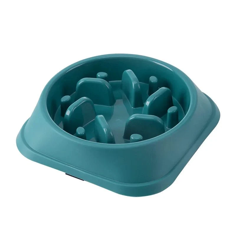 Gamelle Anti Glouton Chien Design Résistant