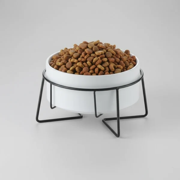 Gamelle Céramique Avec Support Design Pour Chien