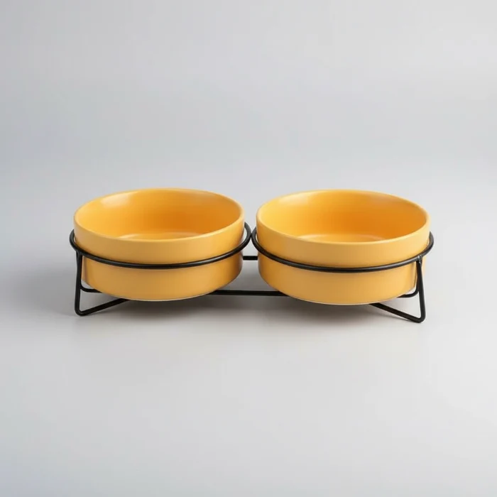 Gamelle Céramique Avec Support Design Pour Chien