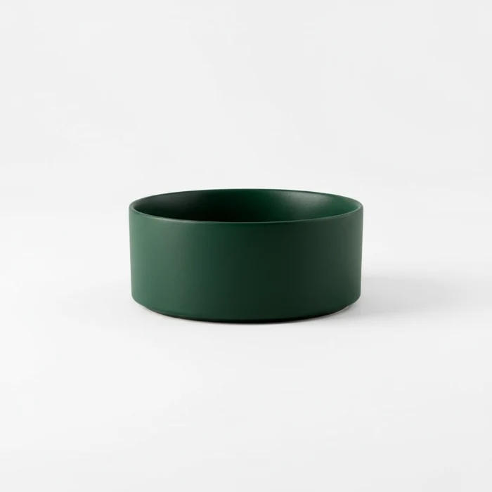 Gamelle Céramique Avec Support Design Pour Chien