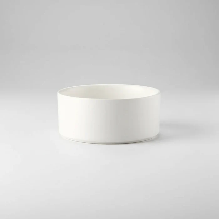 Gamelle Céramique Avec Support Design Pour Chien