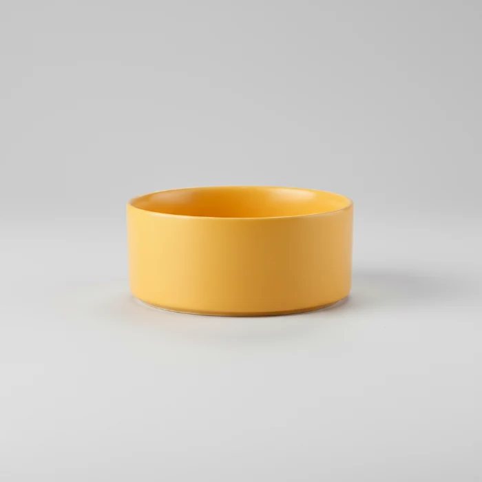 Gamelle Céramique Avec Support Design Pour Chien